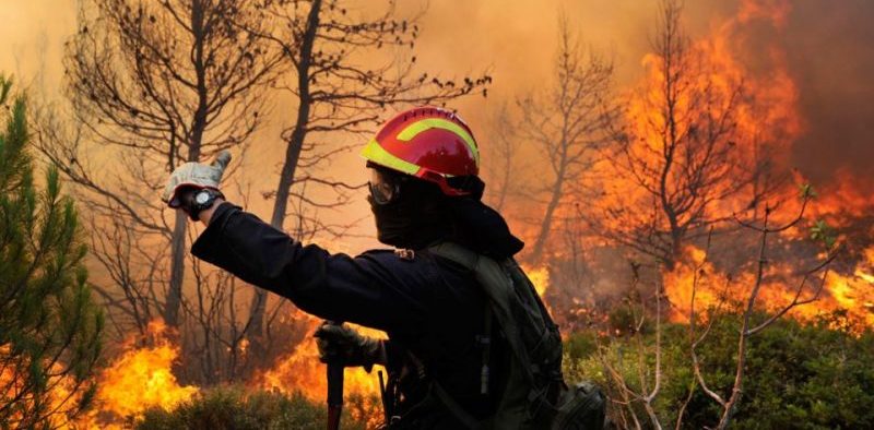 Incendi, Coldiretti: “Quadruplicano i boschi in fiamme dall’inizio dell’anno”￼