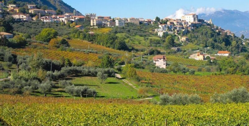 Torrecuso| Vinestate, domani al via la kermesse del vino