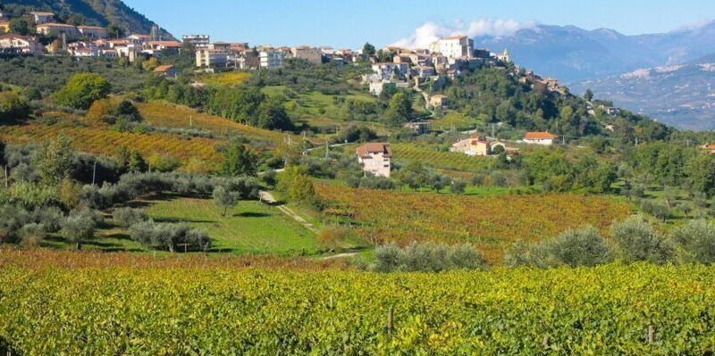 Torrecuso| ‘Vinestate’, al via le prenotazioni per le degustazioni