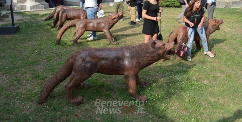 VIDEO – Benevento, i Lupi di Lyu Ruowang accolgono i visitatori del Teatro Romano