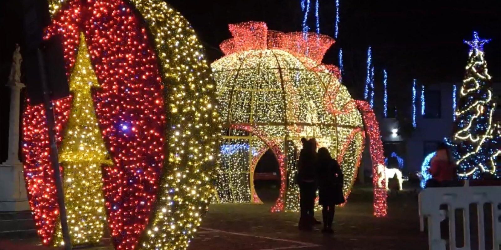 VIDEO – Calvi dà il suo benvenuto al Natale: ieri il Falò dell’Immacolata e l’accensione dell’Albero