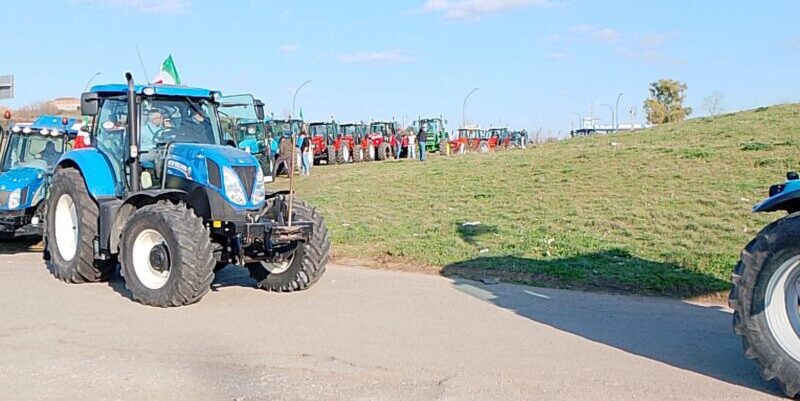 Proteste agricoltori, Limata: “Da Forza Italia piena capacità di ascolto per un settore portante dell’economia locale e nazionale”