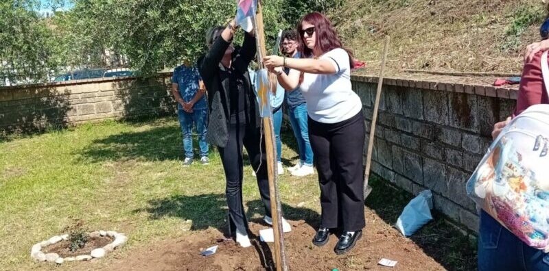 Un albero per ricordare Emily Vegliante