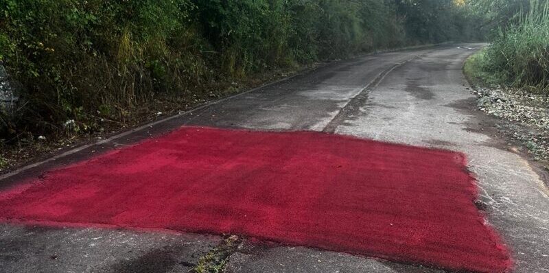 Pista ciclopedonale, Giorgione (FI): “Scempio continua”