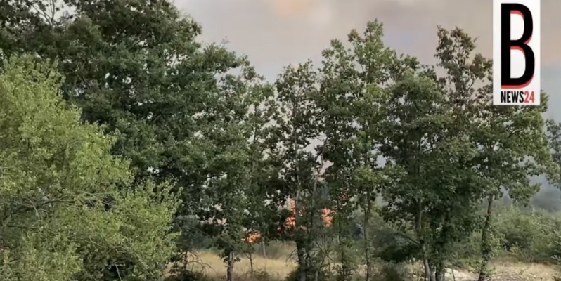 VIDEO – Vasto incendio nelle campagne tra Campolattaro e Pontelandolfo