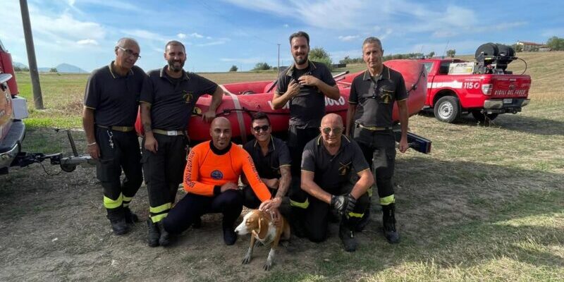 Contrada Cancelleria, cane cade in un bacino artificiale per la raccolta delle acque: salvato dai Vigili del Fuoco