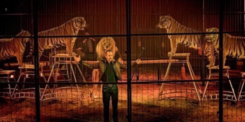 Imperial Royal Circus arriva a Benevento, la Raab: ‘No al circo con gli animali in città’