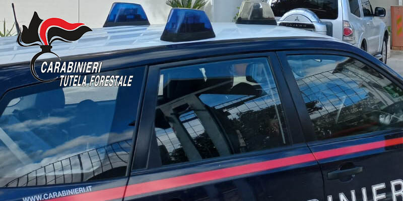 Solofra | Forestali sequestrano una conceria: denunciato un imprenditore 40enne