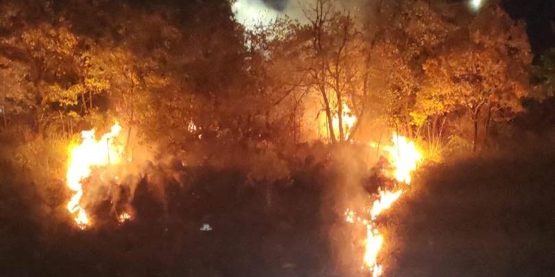 Ponte, incendio nei pressi del viale: si indaga (FOTO)