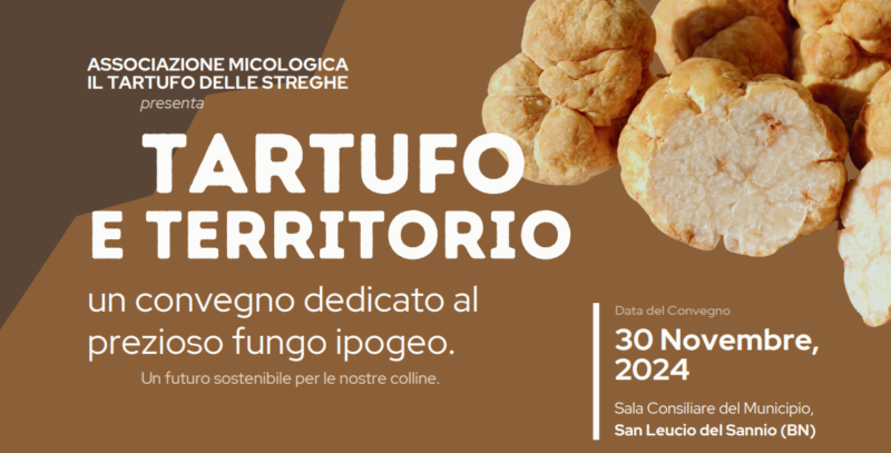 Associazione Micologia il Tartufo delle Streghe, sabato a San Leucio del Sannio il primo convegno “Tartufo e territorio” 