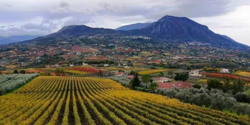 Torrecuso| Venerdì 8 novembre al via ‘Sorriso di Bacco’ targato ‘Cav. Mennato Falluto’