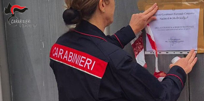 Lauro | Carabinieri Forestali sequestrano un’autofficina: un denunciato