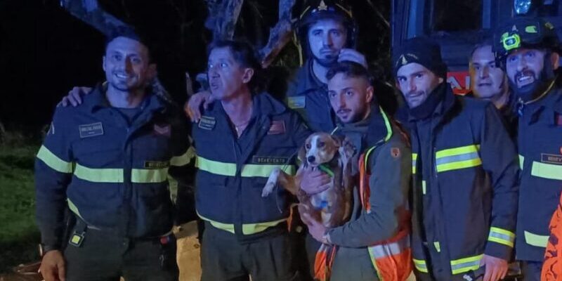 Sant’Angelo a Cupolo, un cagnolino cade in un pozzo di 15 mt: salvato dai Vigili del Fuoco