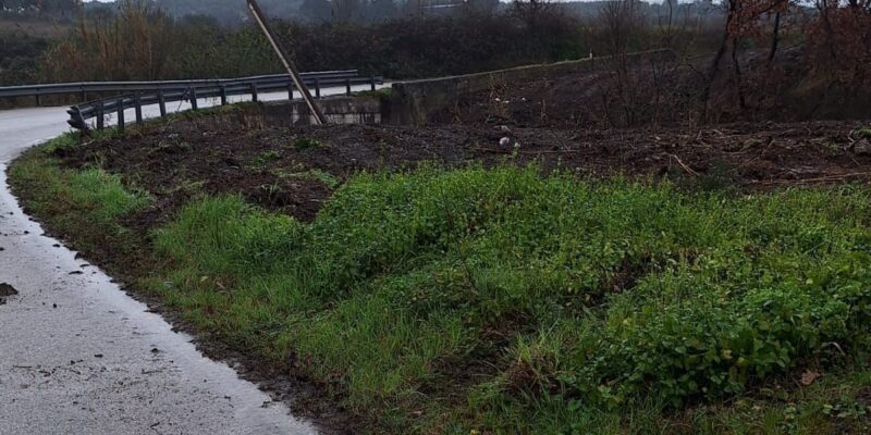 Ponte, sicurezza stradale al primo posto: il Comune rimuove la vegetazione pericolosa su via San Benedetto (FOTO)