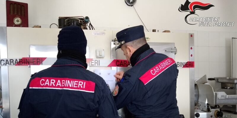 Carenze igienico sanitarie e prodotti andati a male: chiusa macelleria di Arpaise