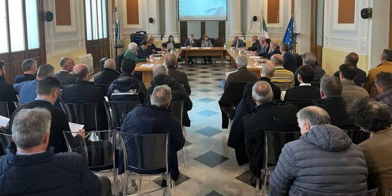 Benevento, riunione di coordinamento in Prefettura per l’emergenza cinghiali